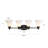 4 - Light Vanity Light