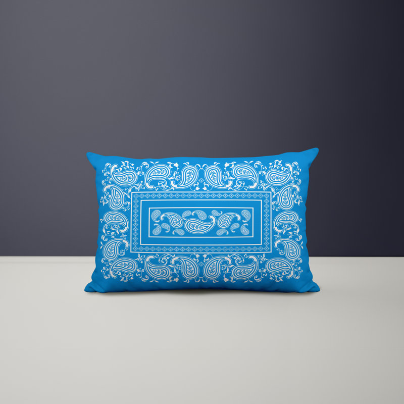 Paisley Outdoor Reversible Throw Pillow, Blue