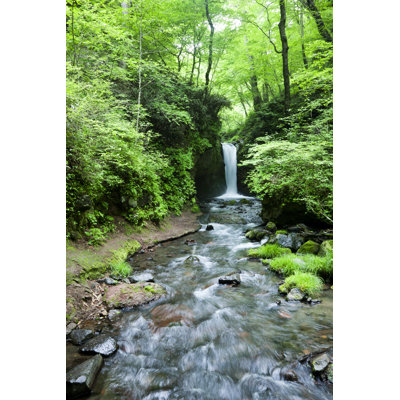 Cascade japonaise par Ooyoo