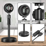 15.35'' Plug-in Integrated LED Outdoor Table Lamp