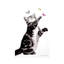 Butterfly Effect by Soo Beng Lim - Wrapped Canvas Gallery-Wrapped Canvas Giclée-1046875048