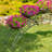 Capelletti Elevated Planter-1529884503