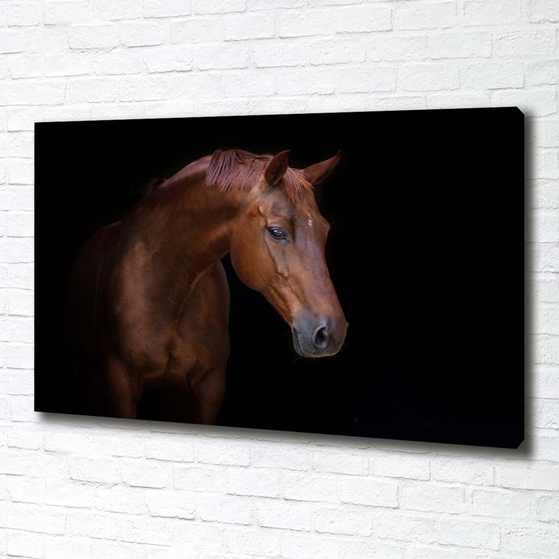Brown Horse - Wrapped Canvas Print