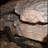 Jerrod Refractory Cement Logs-1749077769