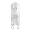 Ampoule halogène givrée Raynham