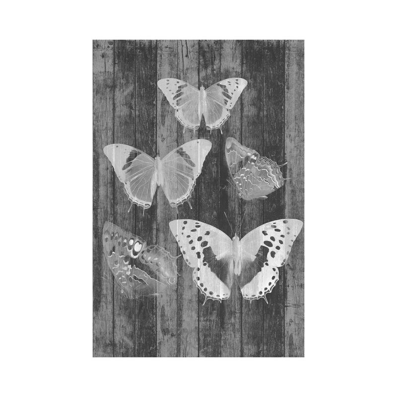 Rustic Butterfly Chart II by Jennifer Goldberger - Wrapped Canvas Print, 30.48 cm H x 45.72 cm W