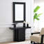 Miroir décoratif 32 po x 47 po Drisana