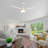 52'' Ceiling Fan with LED Lights