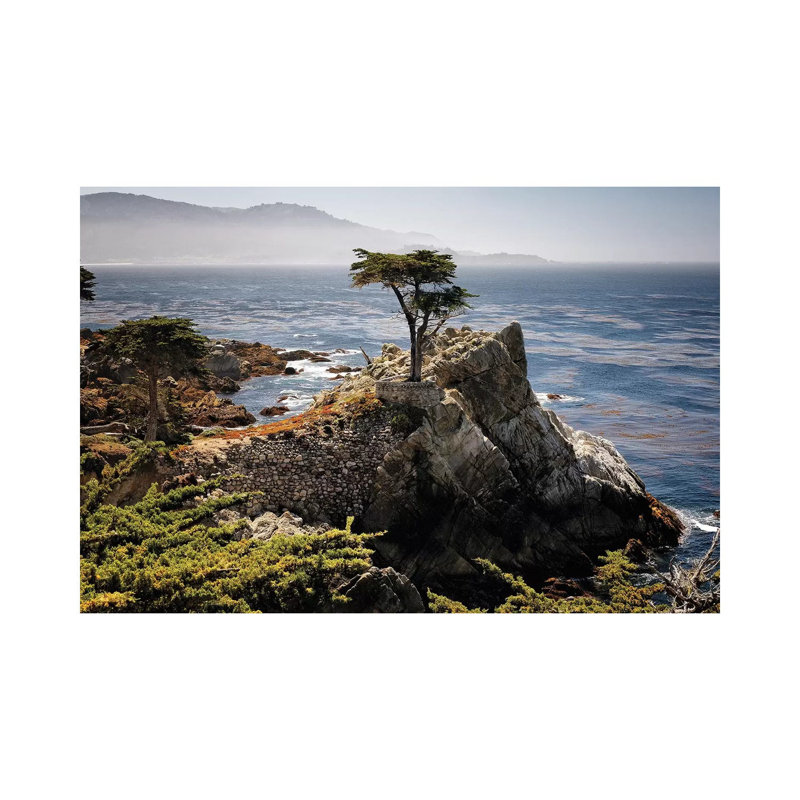 «Lone Cypress Tree» - reproduction, Toile tendue, H 12 po x l 18 po x 1,5 po