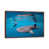 Classic Wood Floater Framed