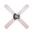 Brinda 48'' Ceiling Fan with LED Lights