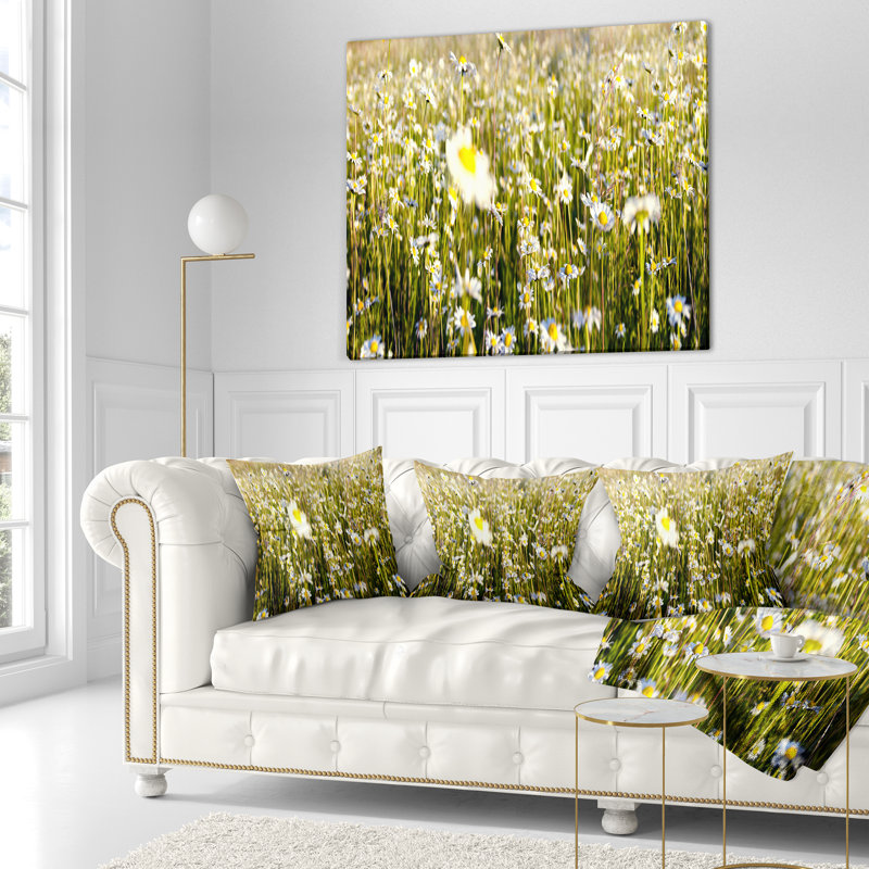 Champ de fleurs de camomille sauvage - coussin à imprimé floral, 16 po x 1 po, Coussin décoratif