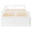 Lit de jour blanc avec lit gigogne escamotable, structure simple en bois massif, très grand lit gigogne extensible, lattes à circulation d'air-961810974