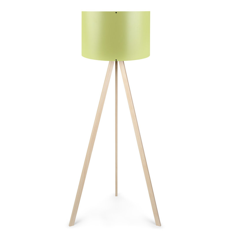 Rybicki 55" Tripod Floor Lamp, Cream, Green