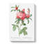 Cabbage Roses In Pink by Pierre-Joseph Redoute - Wrapped Canvas Painting-55371727