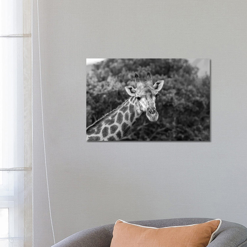 Look At Me, I'm Handsome by Anders Jorulf - Wrapped Canvas Print, 66.04 cm H x 45.72 cm W x 1.91 cm D
