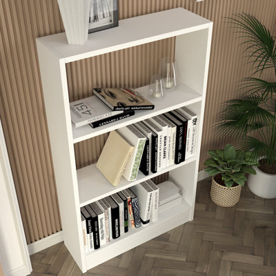Daizja Bookcase