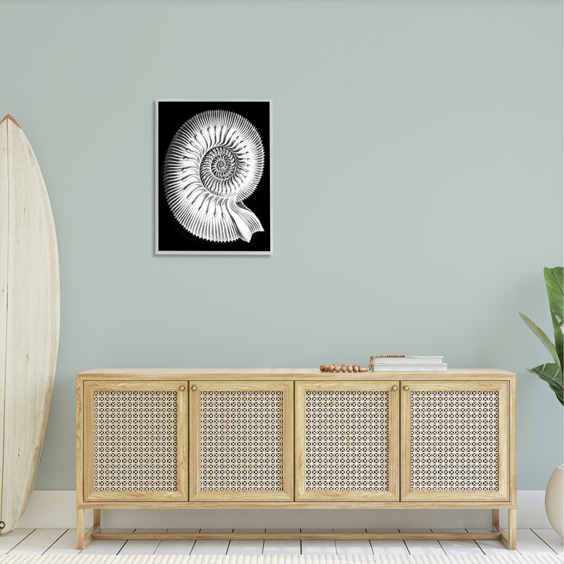 " Spiral Sea Life Beach ", 30" H x 24" W x 1.5" D, Farmhouse Gray Framed Giclee