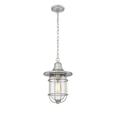 Filsaime Outdoor Hanging Lantern