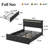 Modern Led Bed Frame With Storage Drawers And Adjustable Headboard