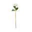Tige de fleur artificielle Cole et Grey-855985872-855985873