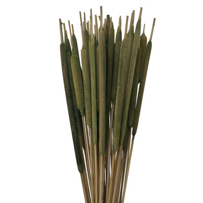 Flournoy Arrangement