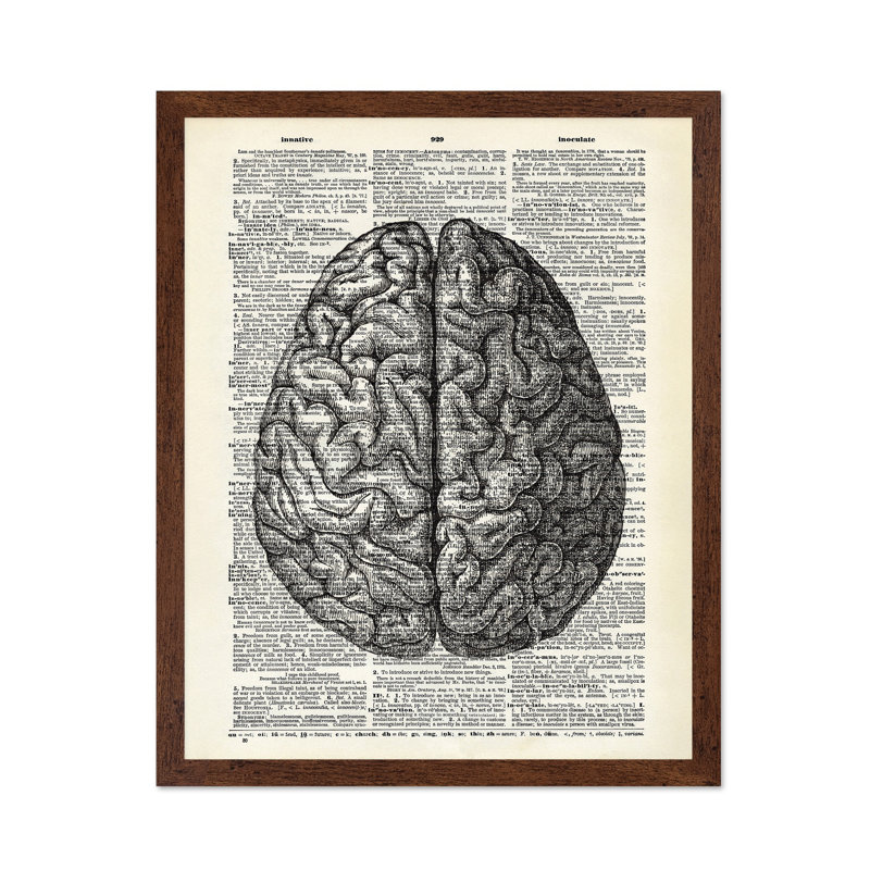 Cerveau humain, Poster, 16"H x 20"W, Brown Framed