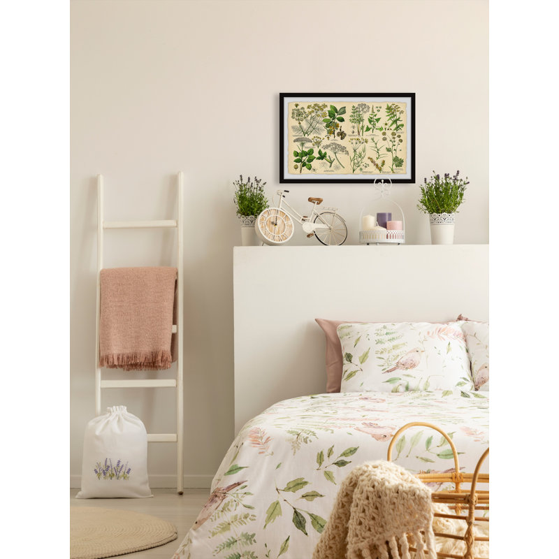 Selinum Carvifolia - Single Picture Frame Painting, 41cm H x 61cm W x 3.81cm D