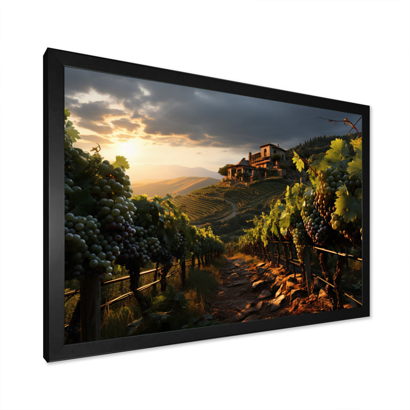 " Vineyard Misty Meadows Cellars II ", Black Picture Frame, 12" H x 20" W x 1" D