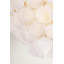 Halcott Chandelier