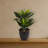 Agave Artificial Plant