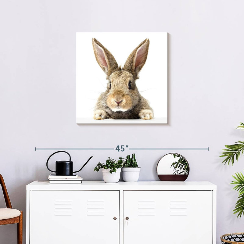 Crowle Fluffy Easter Rabbit, 24" H x 24" W