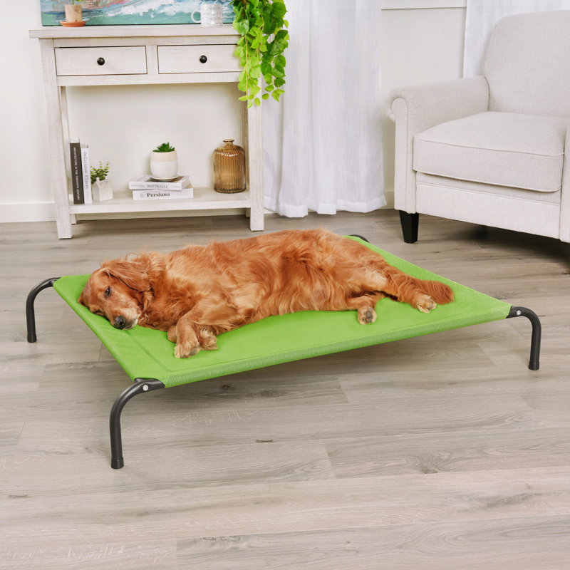Elevated Cot Pet Bed, Green, 8" H x 36" W x 49.5" D