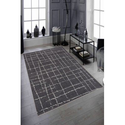 Eco-Friendly Hall Carpet, 100% Polyester, 39.4 x 59.1 inches | Antibacterial, Non-Slip PVC Dot Underside, 650 g/m² | Machine Washable, Digital Print, Low Pile Height 0.2 inches | Perfect for Living Room & Entryway Decor