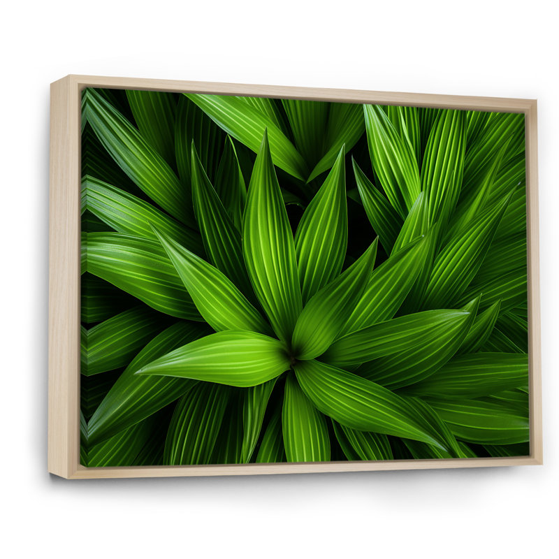Greenerys Gaze sur impression sur toile, Cadre flottant naturel, H 16 po x l 32 po x P 1 po