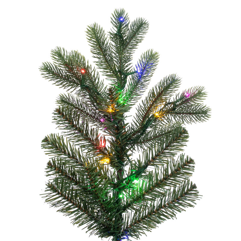 Sapin de Noël Douglas, 9' x 65", Illuminée