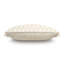 Jolene Lumbar Pillow Cover & Insert
