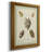 " Bookplate Shells II "-1357332385