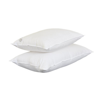 Ensemble de 2 coussins Drumraw