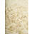 Shag Ivory Area Rug 5x8