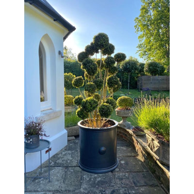 Galghard Handmade Pot Planter