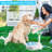 Pet Fountain
