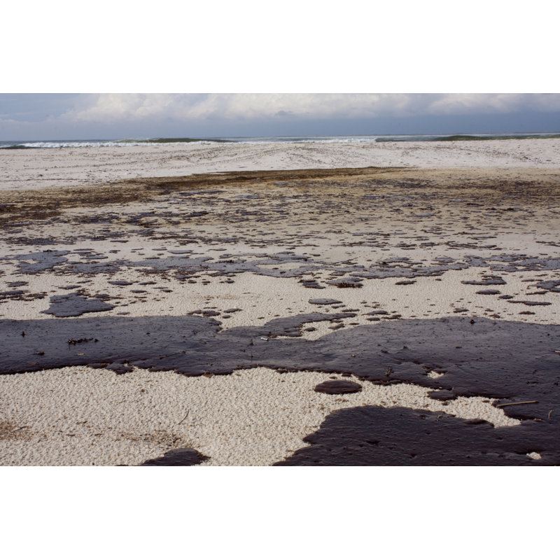 Gulf Oil Spill par Whirler, H 32 po x l 48 po