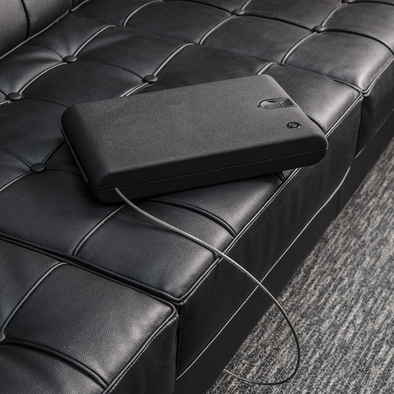 PORTABLE BIOMETRIC COMPACT LOCK BOX