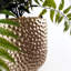 Anjeli 60 cm H Faux Foliage Plant in Ceramic Pot