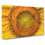 The Eye Of A Yellow Sunflower - Wrapped Canvas Painting-56637573