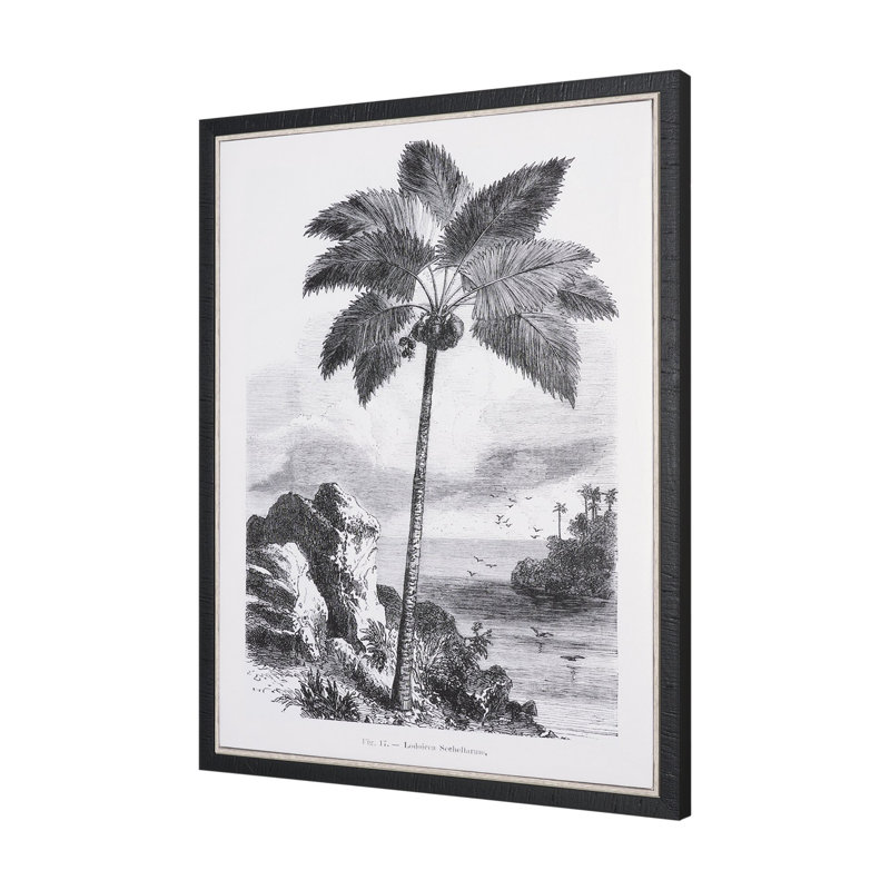 «Vintage Palm Tree Dessin I» par Les Palmiers, histoire, toile encadrée texturée, Dessin de palmier rétro I