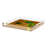 Family Pheasants Acrylic Square Decorative Tray-93454207-120841444