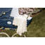 Scalloped Pointelle-609154548