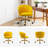 Belanda 23'' W Modern Velvet Task Chair with Tufted Back-828792412